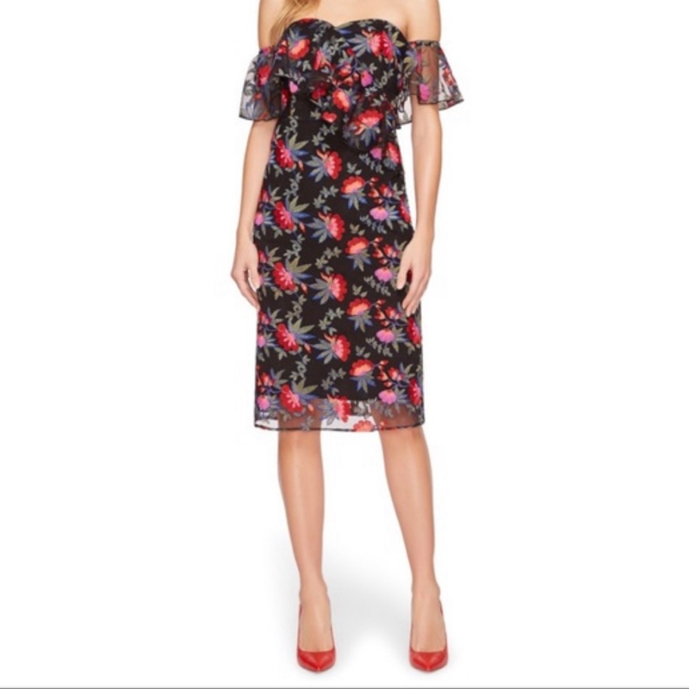 Size 4 Sam Edelman embroidered dress